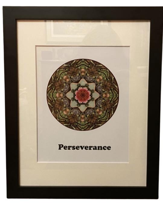 Perseverance Mandala Framed Print